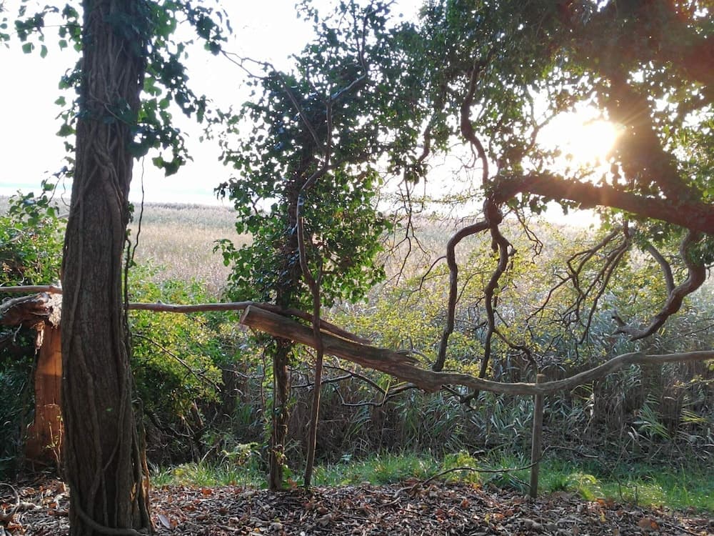 6 Person Holiday Home in Praesto-by Traum