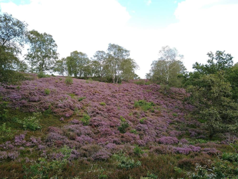 4 Person Holiday Home in Silkeborg-by Traum