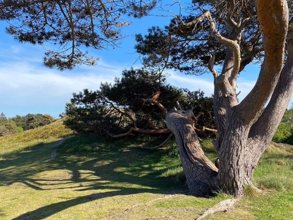 Luxury Villa With Pool - By Traum Ferienwohnungen