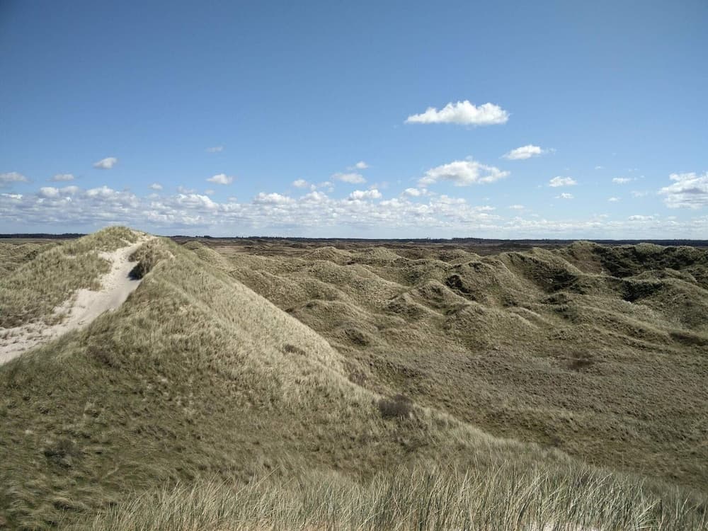 8 Person Holiday Home in Pandrup-by Traum