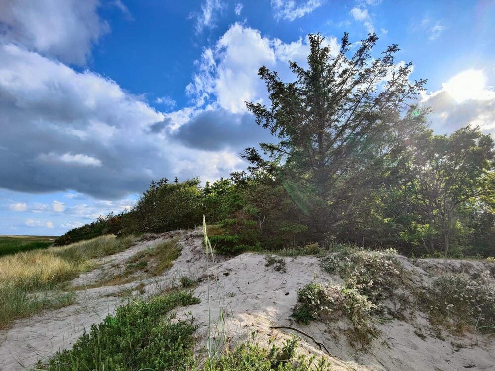 9 Person Holiday Home in Hals-by Traum