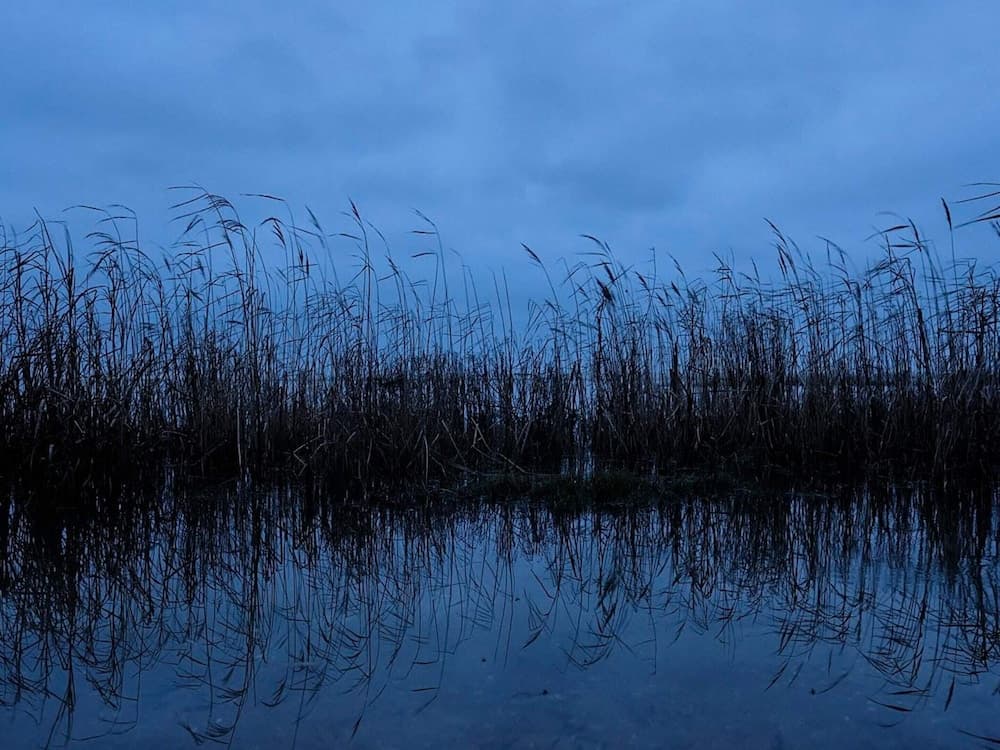 Secluded Retreat in Koldkaer - By Traum Ferienwohnungen