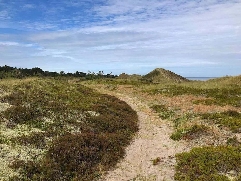 6 Person Holiday Home in Laeso-by Traum