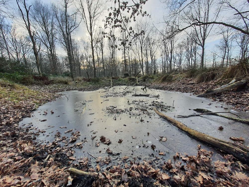 Beachfront Beauty in Hasmark - By Traum Ferienwohnungen