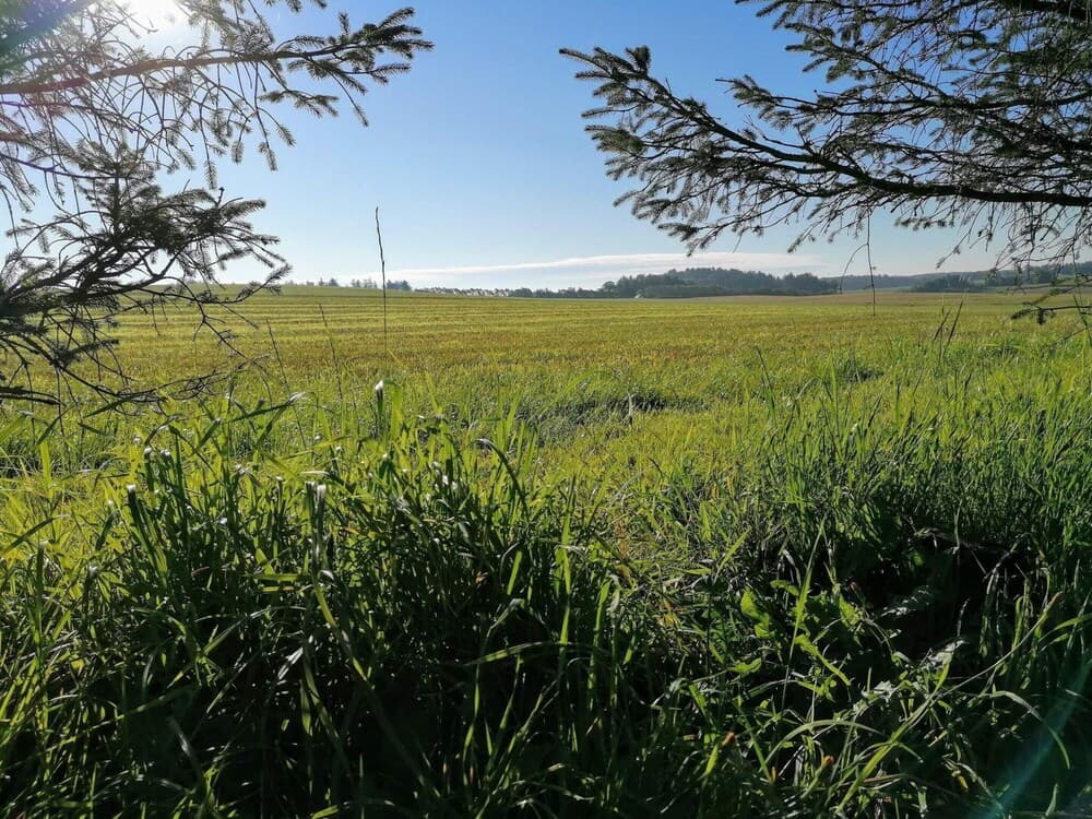 Luxury Retreat With Sauna - By Traum Ferienwohnungen