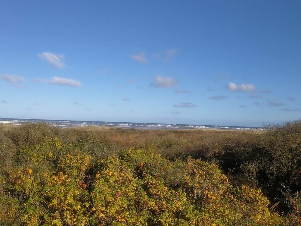 Serene Holiday Home in Bindslev near Beach