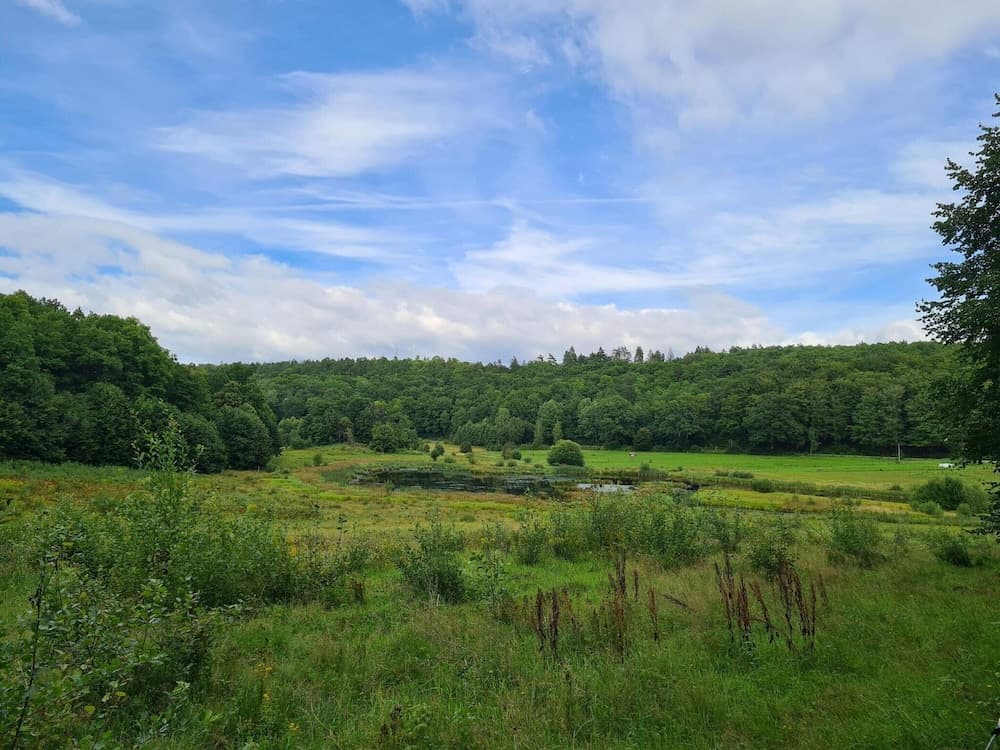 Serene Holiday Home in Bindslev near Beach