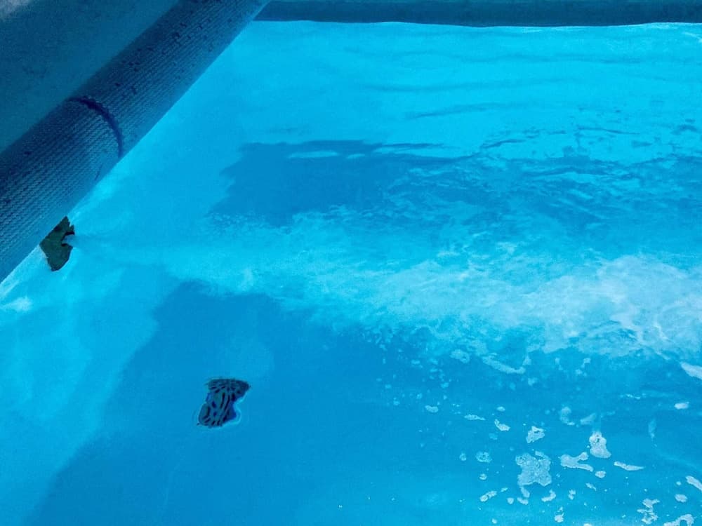 12 Person Holiday Home in Ringkobing-by Traum