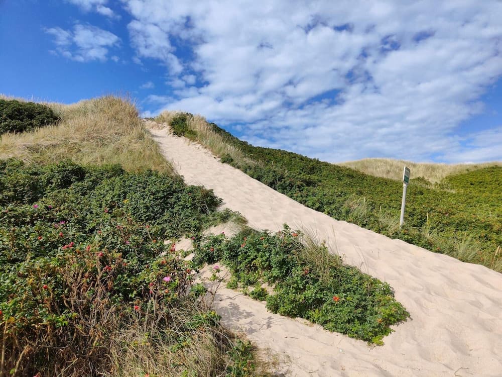 Cozy Dune Retreat Near Sea - By Traum Ferienwohnungen