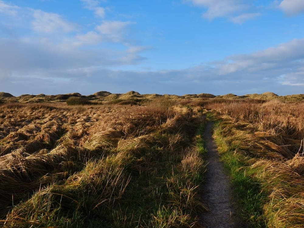 9 Person Holiday Home in Blokhus-by Traum