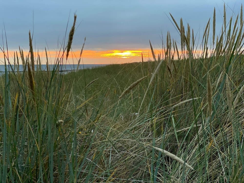 Luxury Retreat With Sauna - By Traum Ferienwohnungen