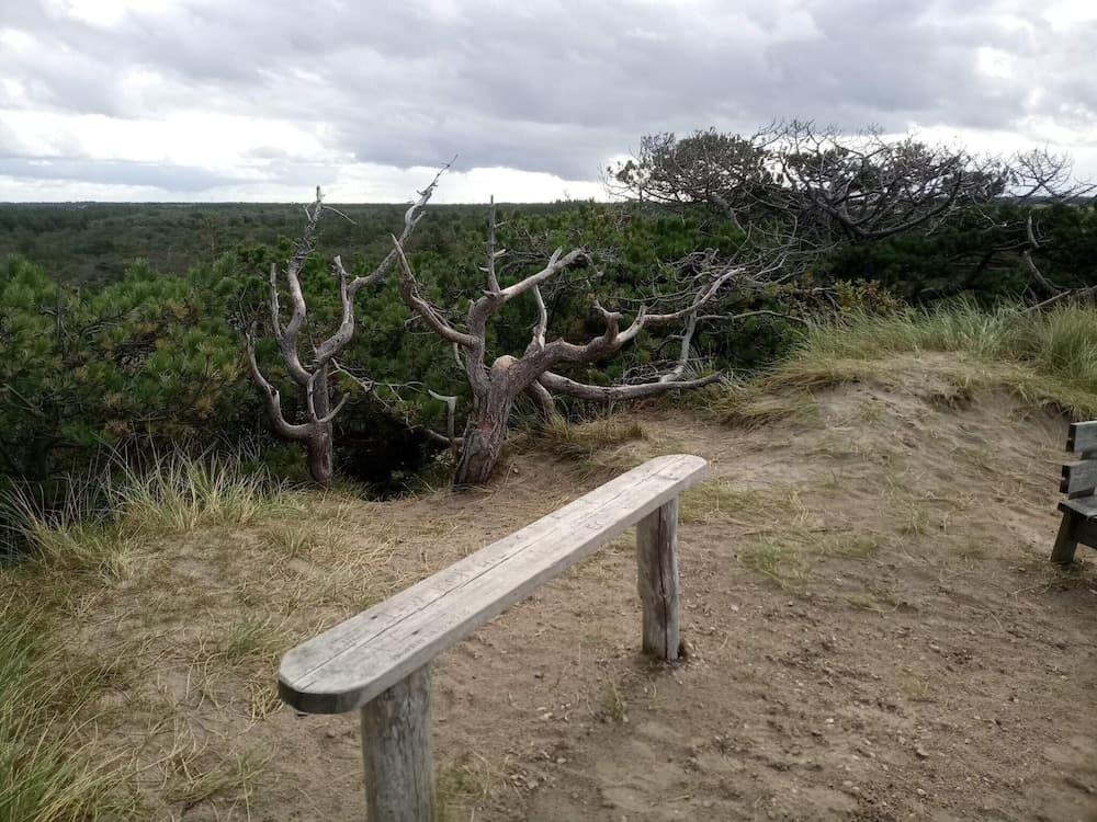 6 Person Holiday Home in Ulfborg-by Traum