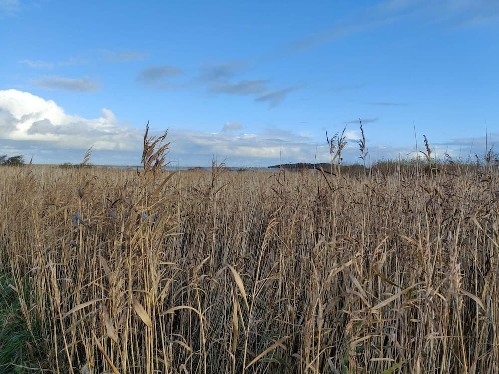 6 Person Holiday Home in Lemvig-by Traum