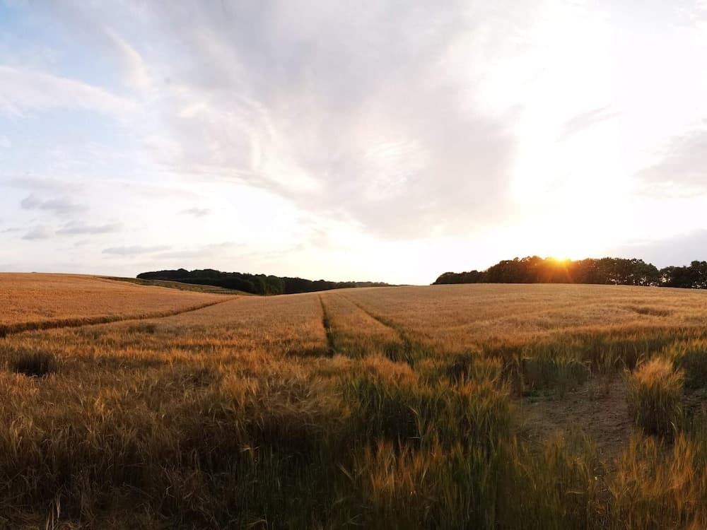 4 Person Holiday Home in Hejls-by Traum