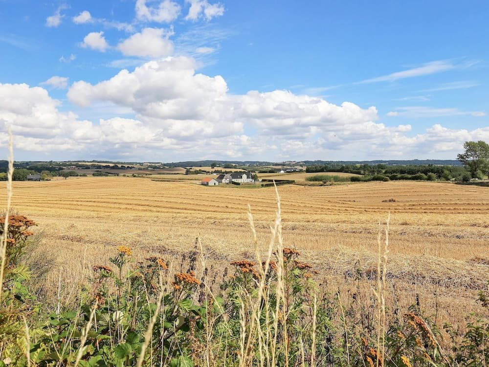 6 Person Holiday Home in Faaborg-by Traum