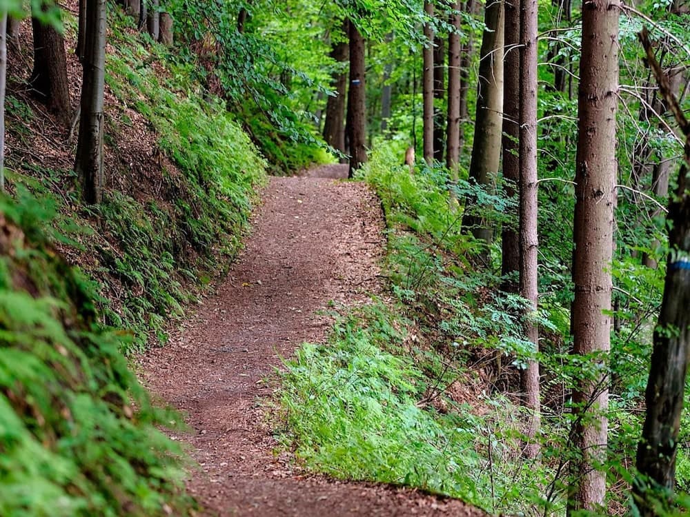 Holiday Home in SÃ¤len