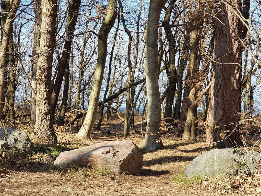 6 Person Holiday Home in Asnaes-by Traum