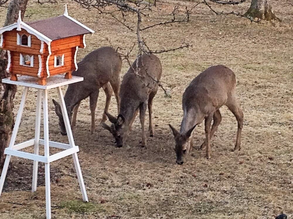 4 Person Holiday Home in Romelanda-by Traum