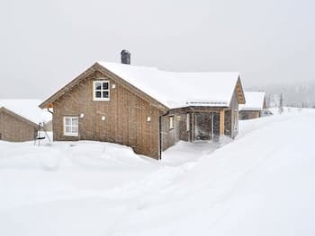 13 Person Holiday Home in Øyer