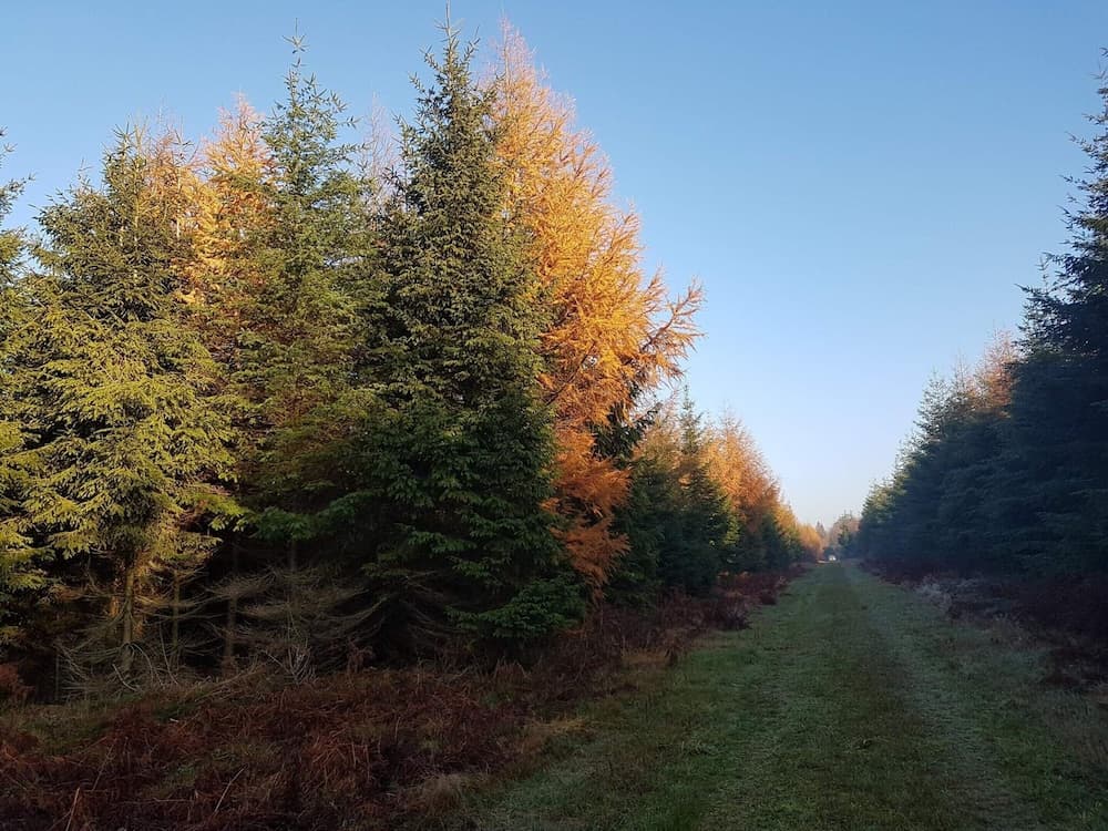 8 Person Holiday Home in Toftlund-by Traum