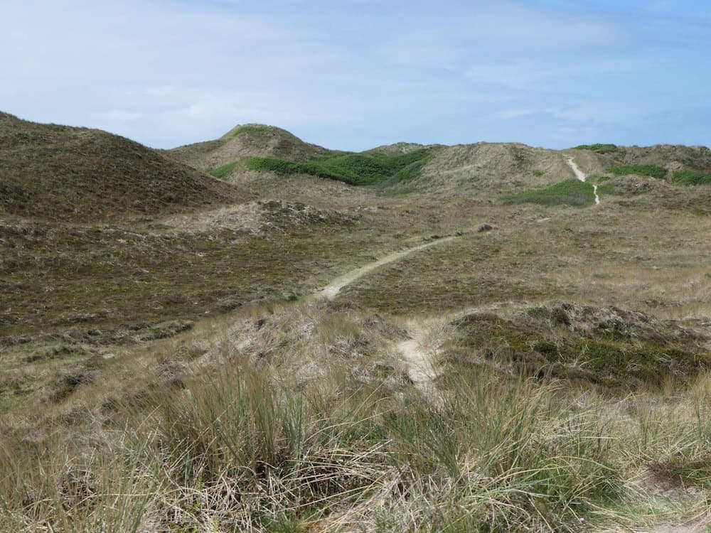 6 Person Holiday Home in Ringkobing-by Traum