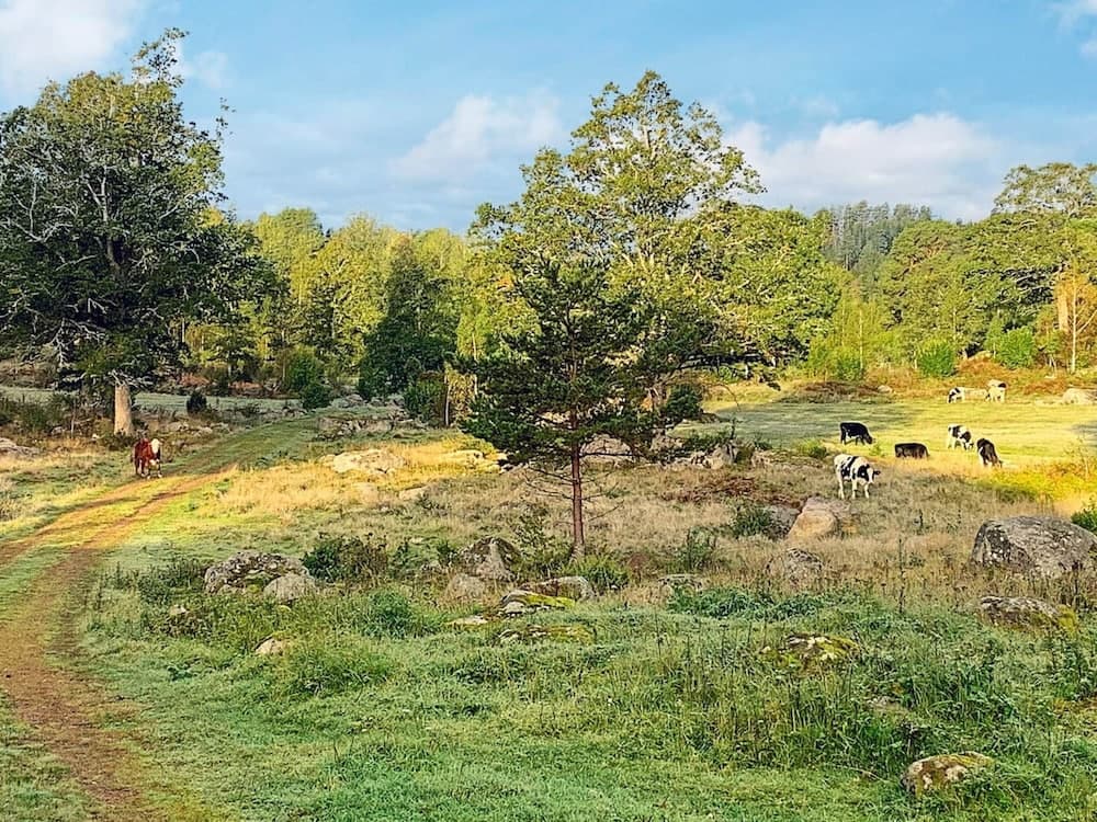 Holiday Home in Gedser