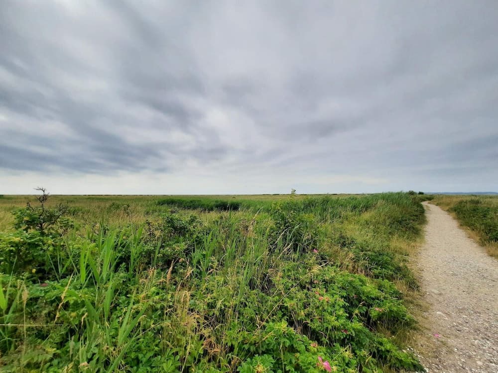 10 Person Holiday Home in Ebeltoft-by Traum