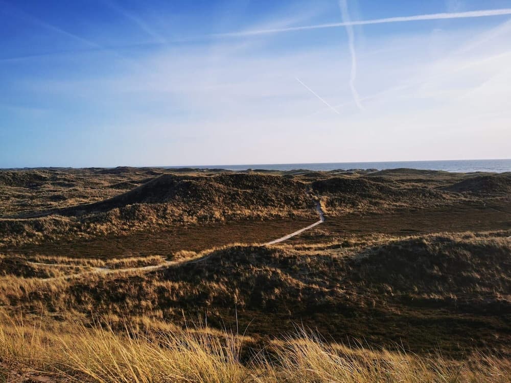 8 Person Holiday Home in Ringkobing