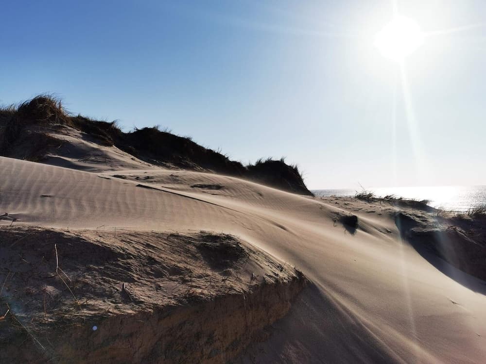 8 Person Holiday Home in Ringkobing