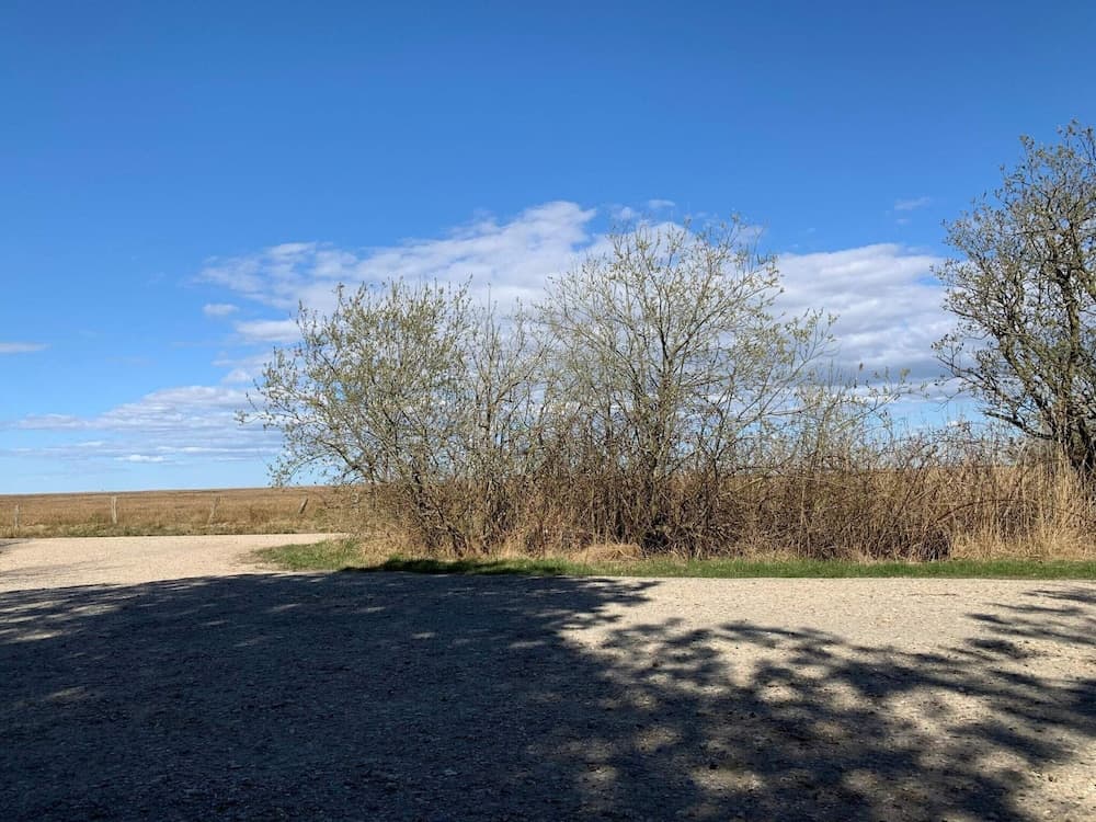 4 Person Holiday Home in Hemmet