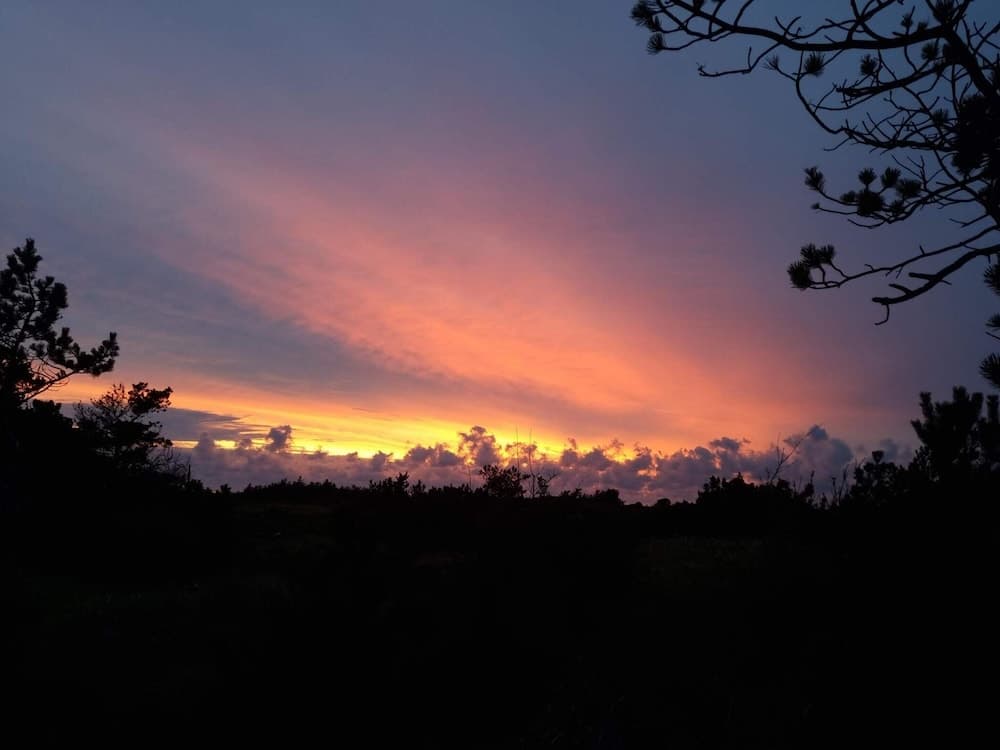 6 Person Holiday Home in Thyholm