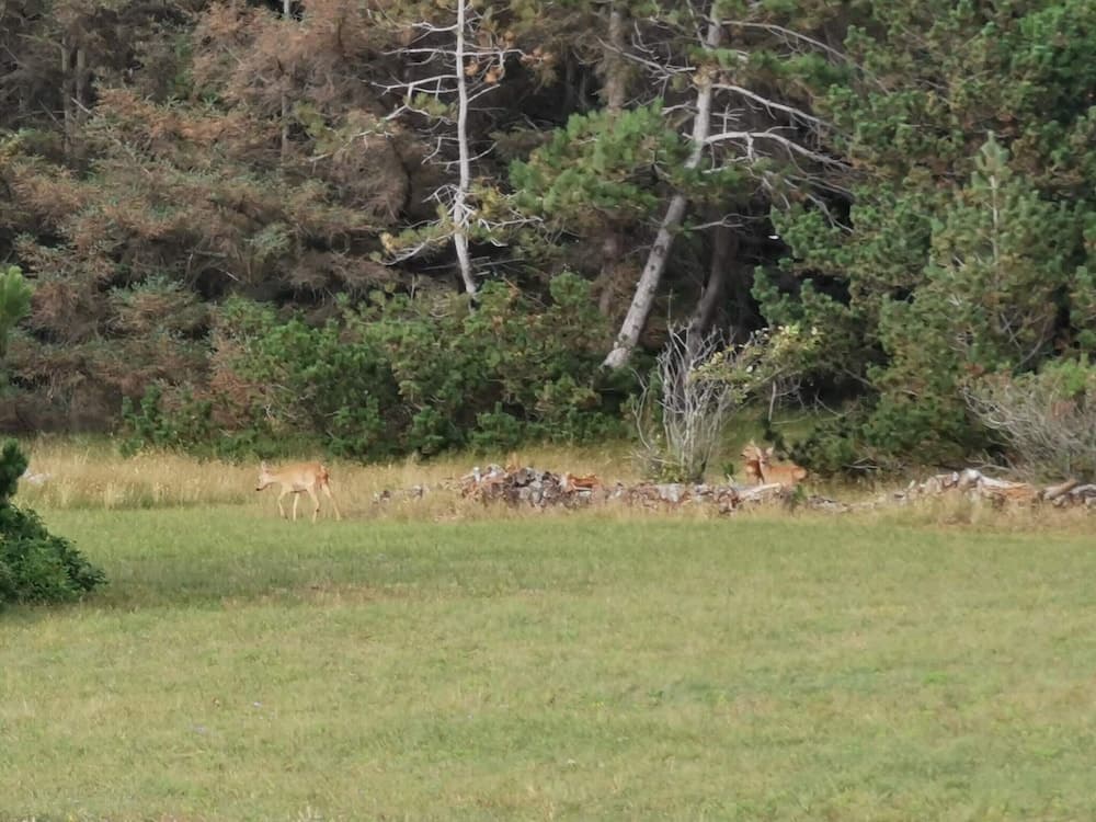 6 Person Holiday Home in Store Fuglede-by Traum