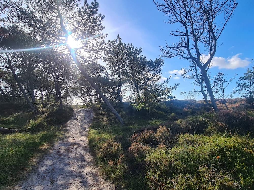 Luxury Retreat With Pool - By Traum Ferienwohnungen