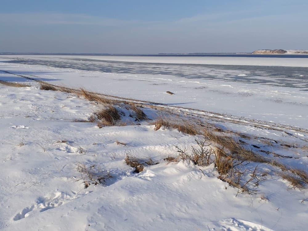 Cozy Dog-friendly Cottage Near Coast-by Traum