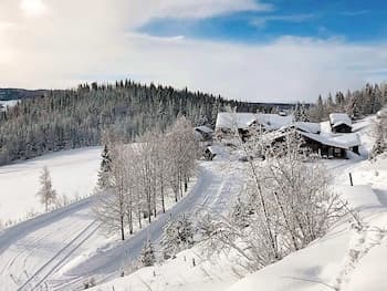 4 Person Holiday Home in Hemsedal