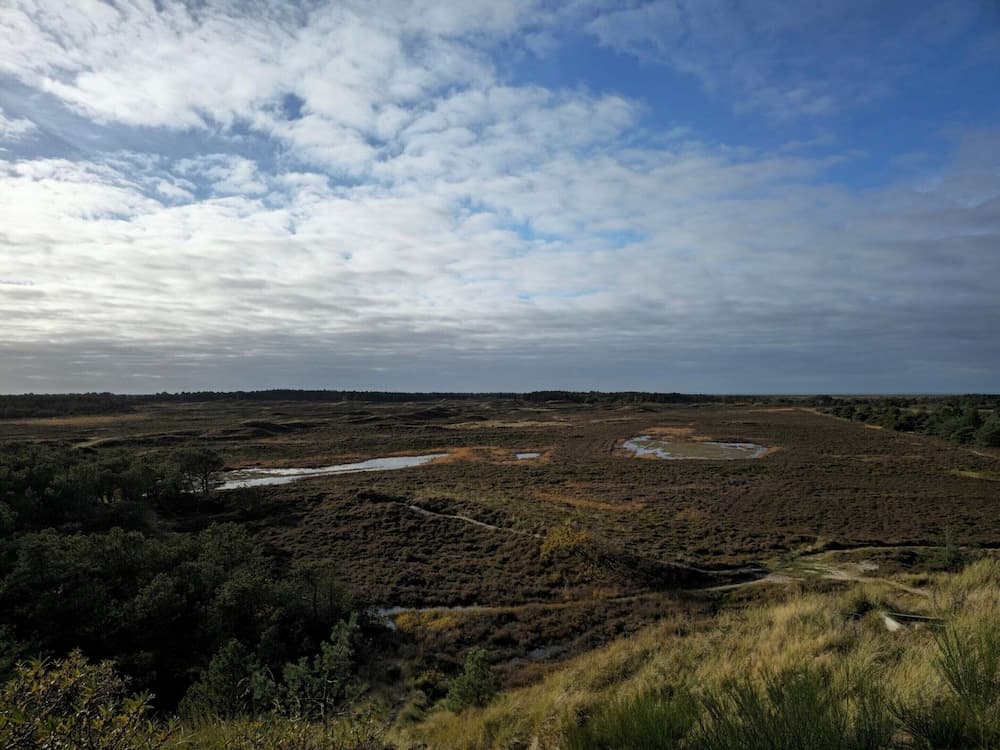 6 Person Holiday Home in Romo