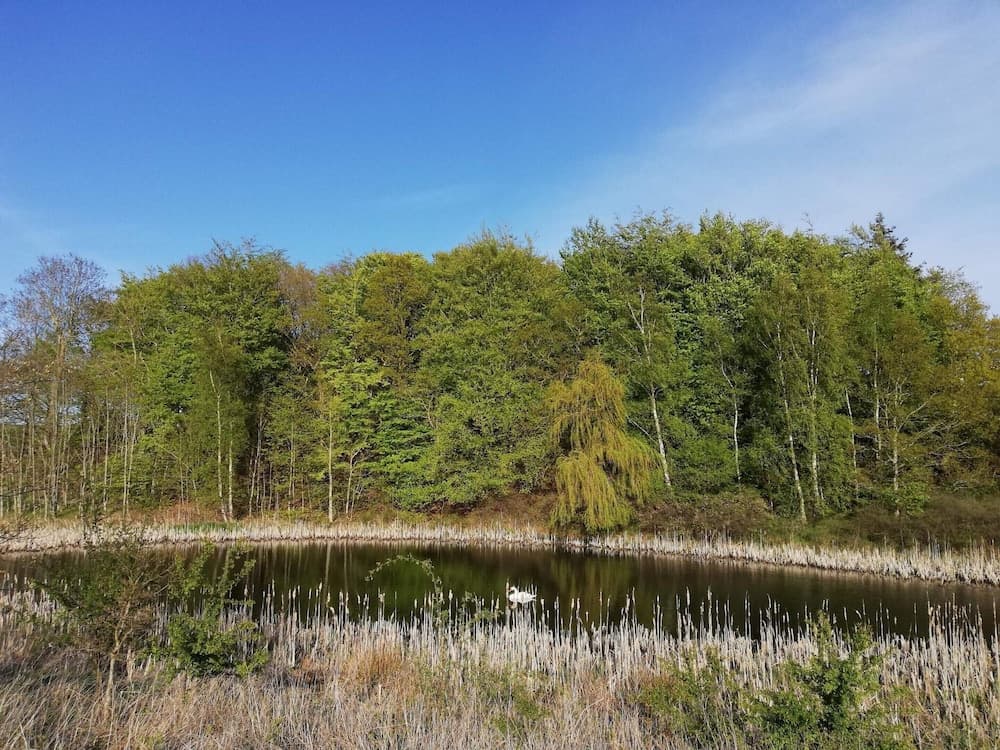 7 Person Holiday Home in Knebel-by Traum