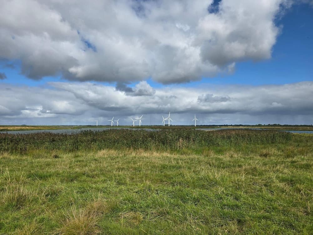 4 Person Holiday Home in Bramming-by Traum