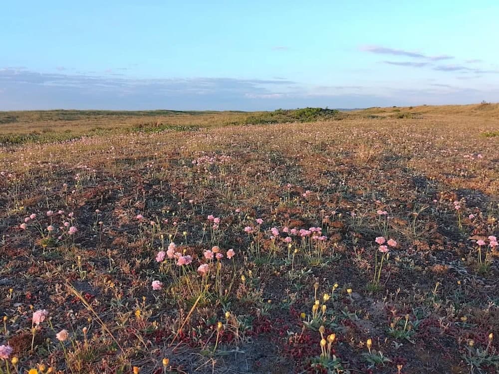 8 Person Holiday Home in Fjerritslev-by Traum