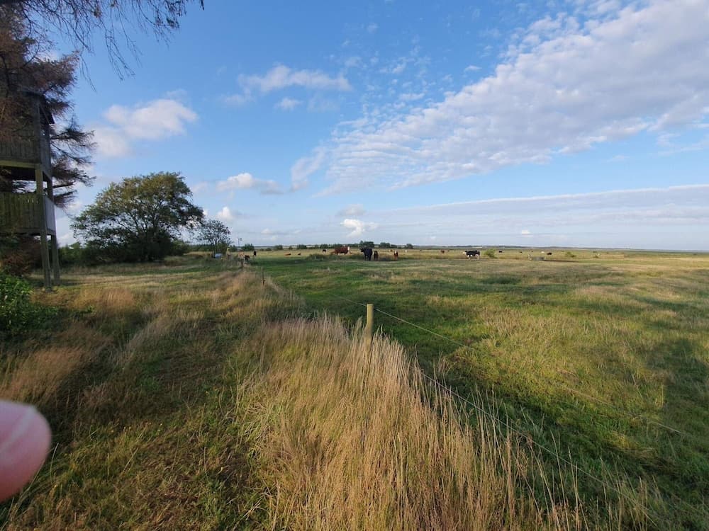 6 Person Holiday Home in Oksbol