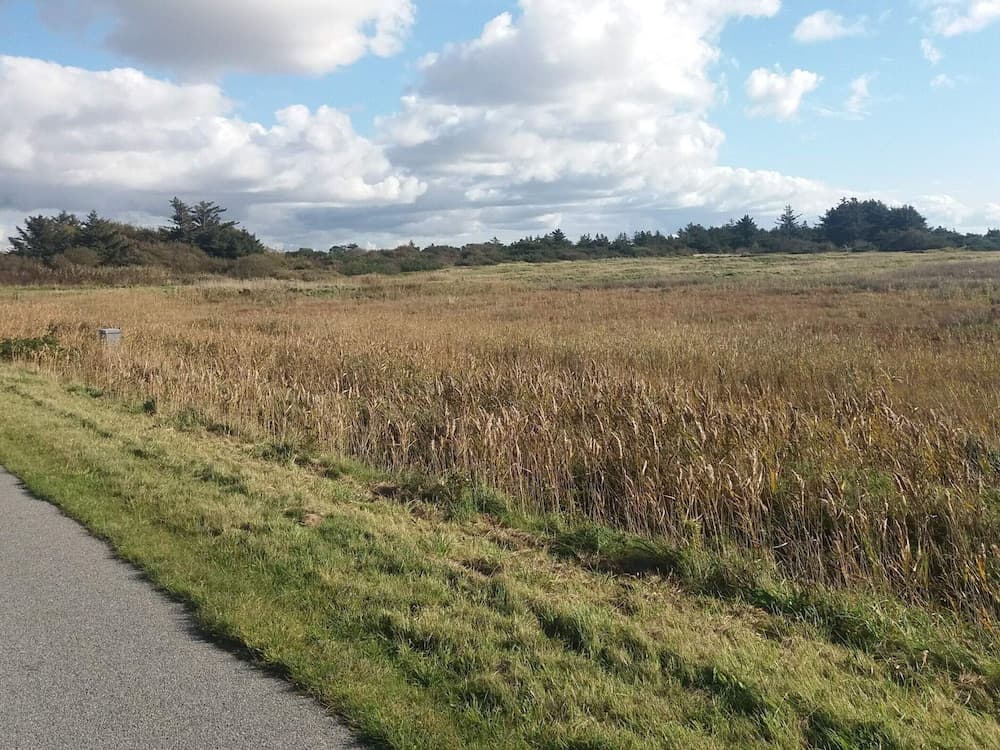 5 Person Holiday Home in Ringkobing-by Traum