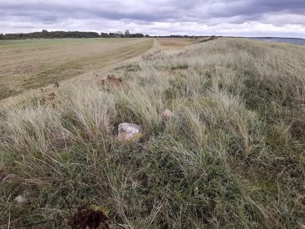 8 Person Holiday Home in Dannemare