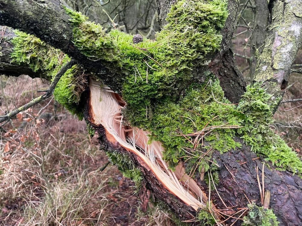 Vintage Holiday Home in Rømø near Sea