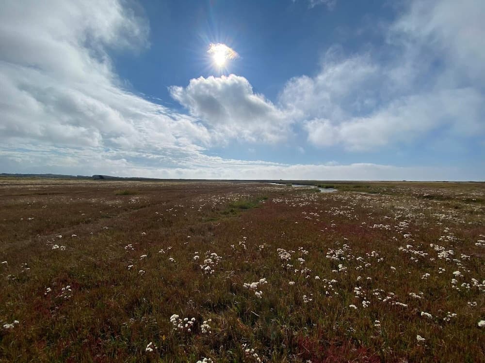 Seaside Escape in Laeso - By Traum Ferienwohnungen