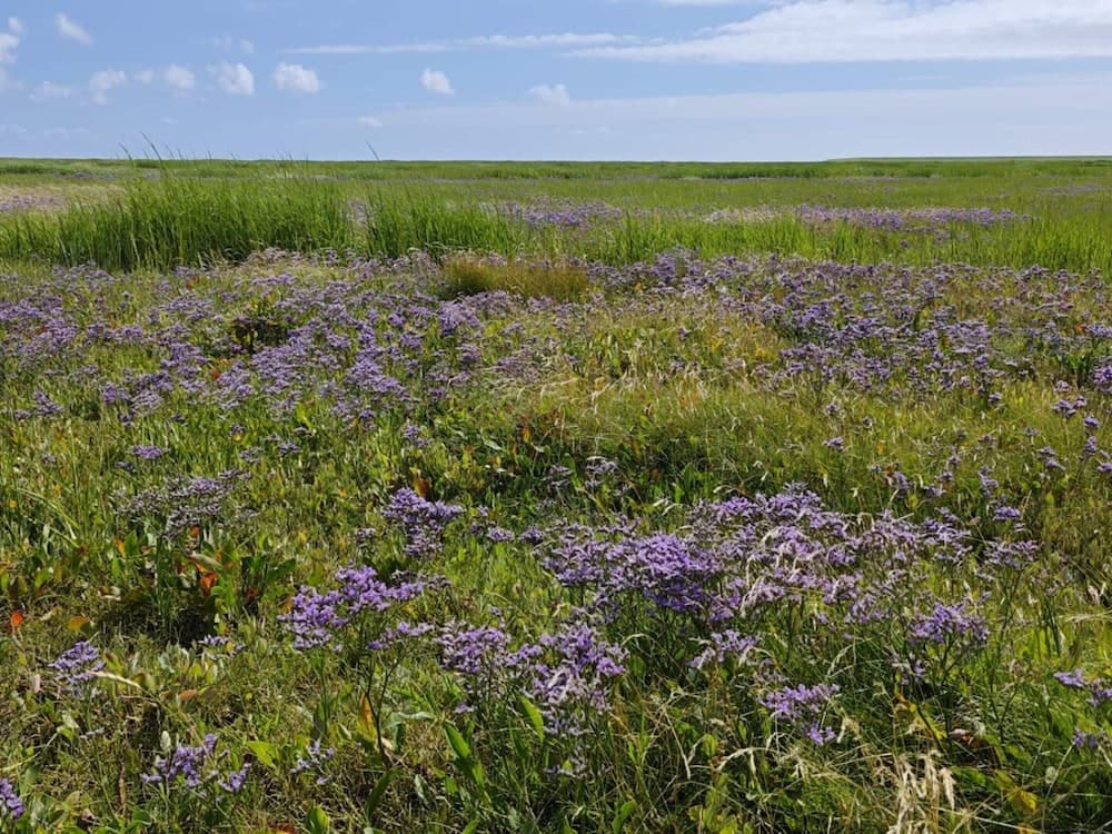 Charming Retreat on Mando - By Traum Ferienwohnungen