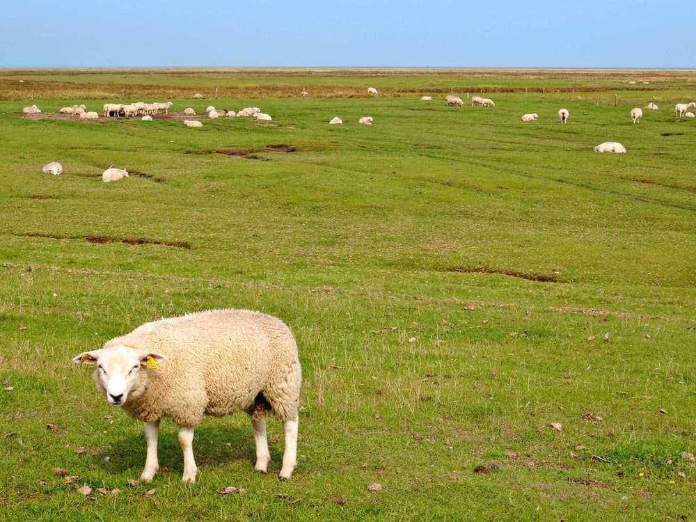 Charming Retreat on Mando - By Traum Ferienwohnungen