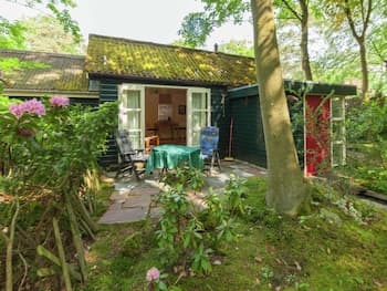 In the Middle of the Gooise Landscape, Directly on the Fields