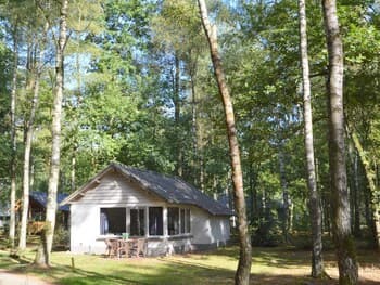 Completely Detached Bungalow in a Nature-filled Park by a Large fen