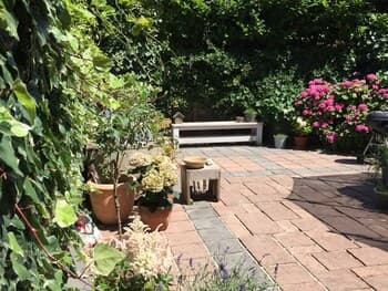 Quietly Located Mansion Near the Centre of The Hague