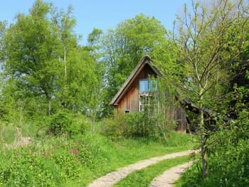 Fairytale Cottage Nestled Between Forest and Village Within Cycling Distance of Bergen aan Zee